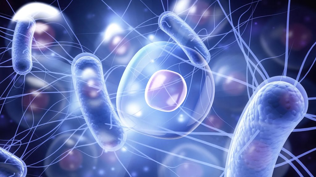 Why saving microbes may be the most important conservation effort ever | ScienceDaily