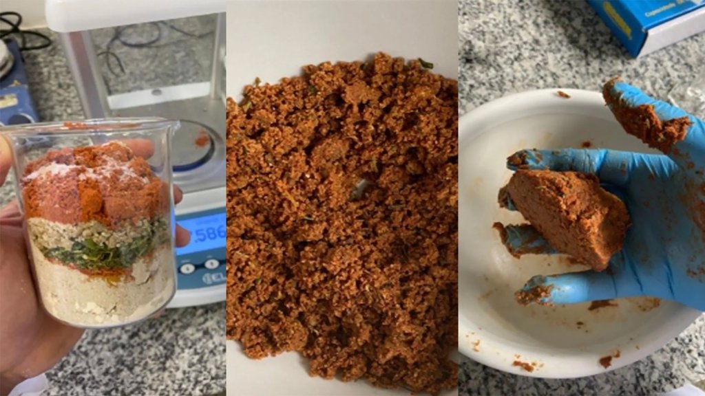 Sunflowers may be the future of "vegan meat" | ScienceDaily