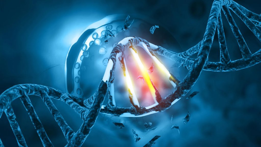 The hidden evolution making men&rsquo;s sperm more dangerous with age | ScienceDaily