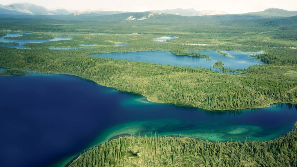 A simple water shift could turn Arctic farmland into a carbon sink | ScienceDaily