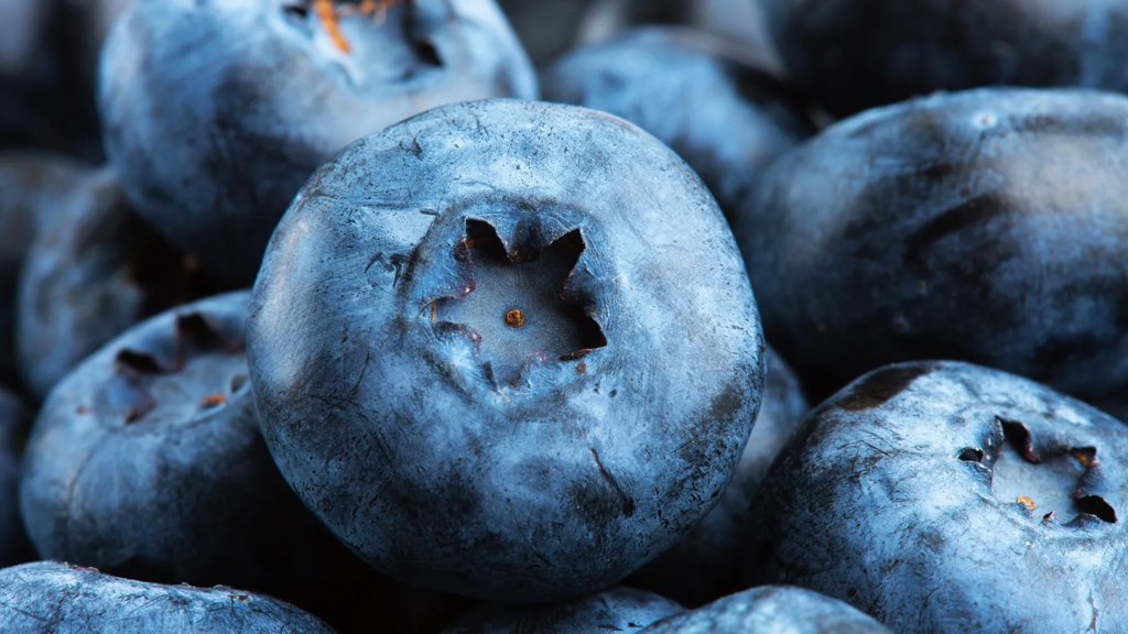 New review finds wild blueberries support heart and gut health | ScienceDaily