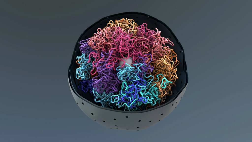 Scientists capture most detailed look inside DNA droplets | ScienceDaily