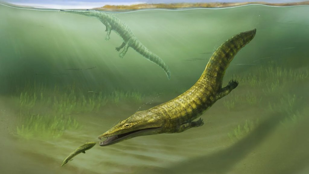 Lost fossils reveal sea monsters that took over after Earth’s greatest extinction | ScienceDaily