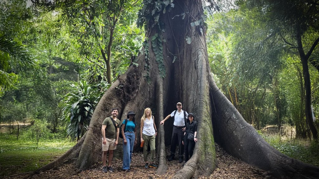 Africa’s forests have flipped from carbon sink to carbon source | ScienceDaily