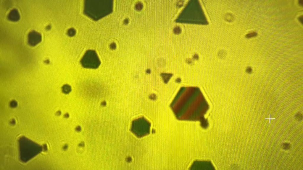 Gold flakes expose the secret forces binding our world together | ScienceDaily