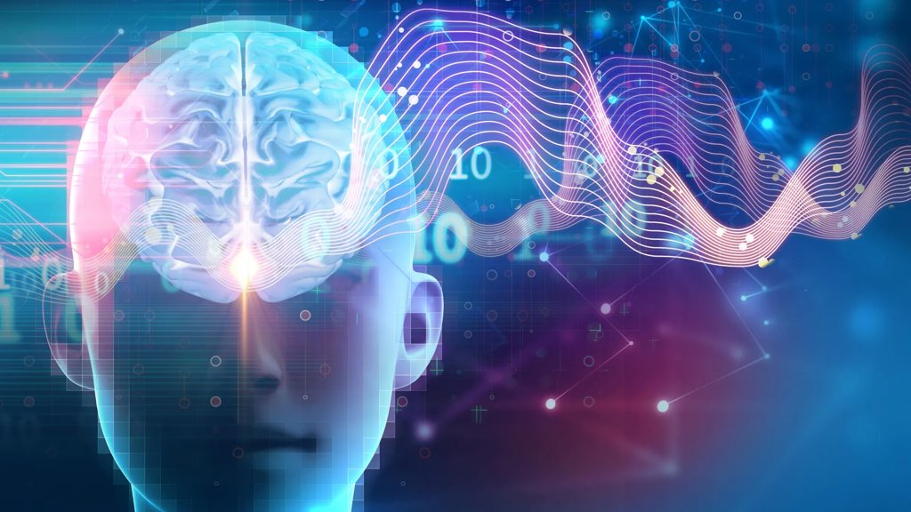 Scientists discover sleep switch that builds muscle, burns fat, and boosts brainpower | ScienceDaily