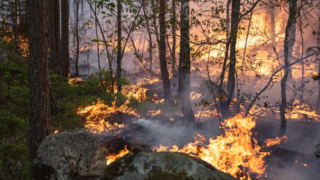Climate models may be missing massive carbon emissions from boreal wildfires | ScienceDaily