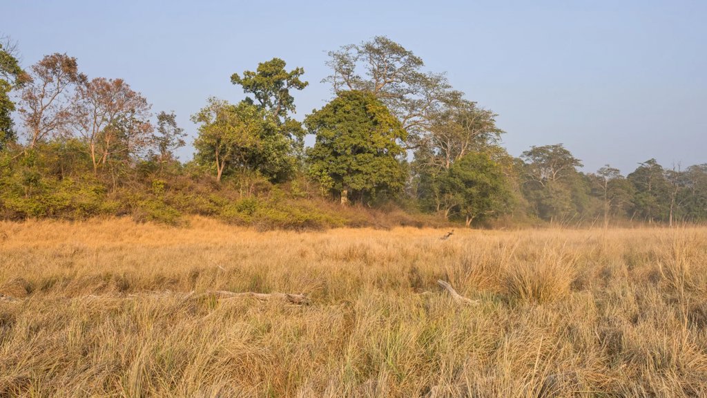 750-year-old Indian poems reveal a landscape scientists got wrong | ScienceDaily