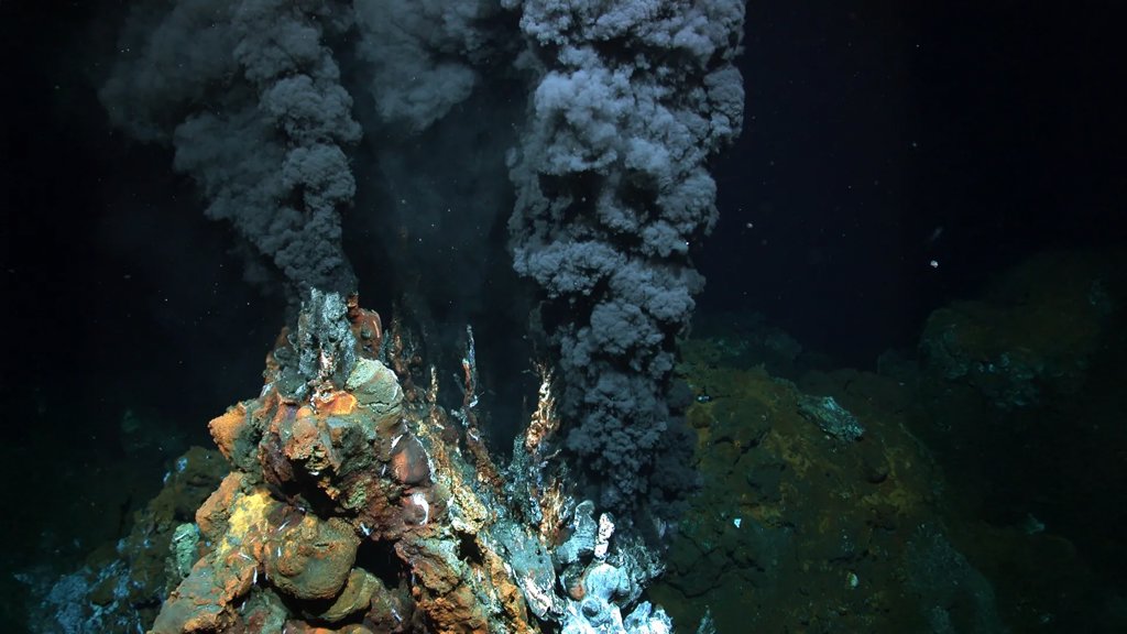 The invisible energy cost that keeps life from falling apart | ScienceDaily