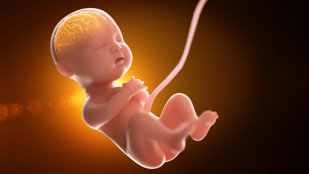 Babies exposed to far more “forever chemicals” before birth than scientists knew | ScienceDaily
