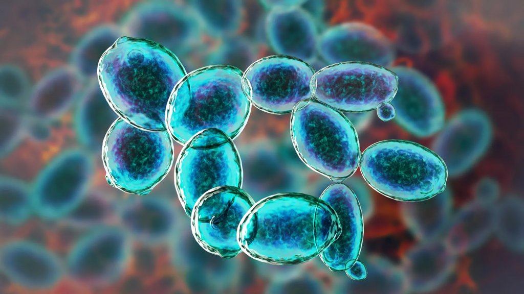 This tiny organism refused to die under Mars-like conditions | ScienceDaily