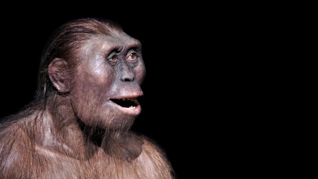 A strange ancient foot reveals a hidden human cousin | ScienceDaily