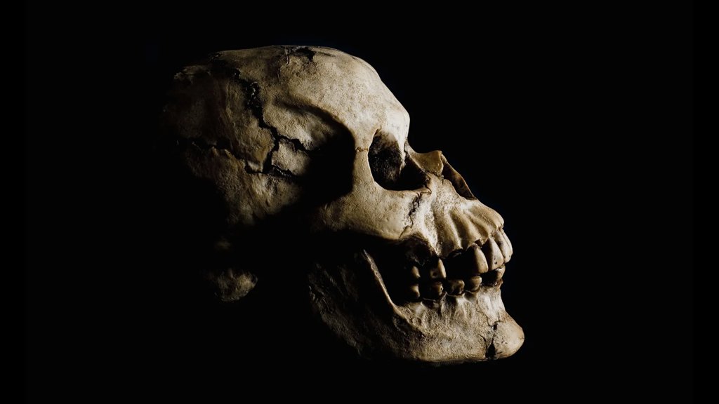 Stunning fossil discovery in Ethiopia rewrites human origins | ScienceDaily