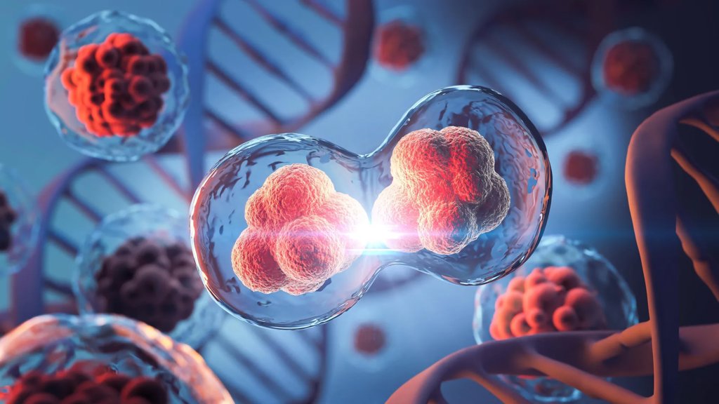 MIT scientists discover hidden 3D genome loops that survive cell division | ScienceDaily