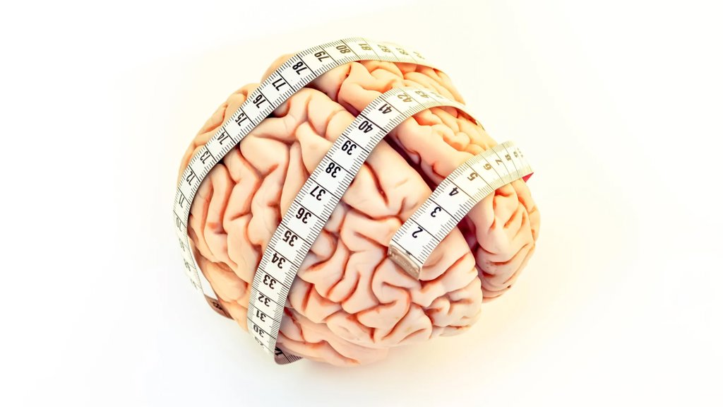 Scientists find a clue to human brain evolution in finger length | ScienceDaily
