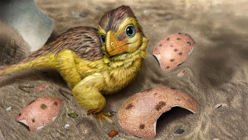 Scientists found a hidden clock inside dinosaur eggshells | ScienceDaily