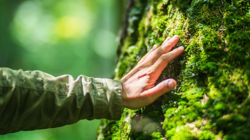 Humans are built for nature not modern life | ScienceDaily