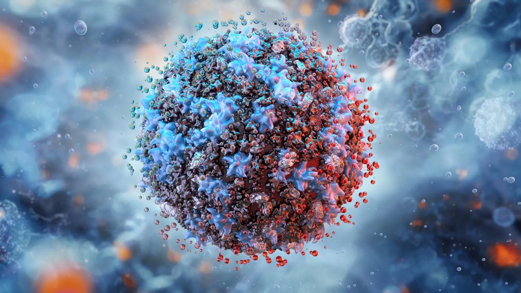 A hidden immune loop may drive dangerous inflammation with age | ScienceDaily