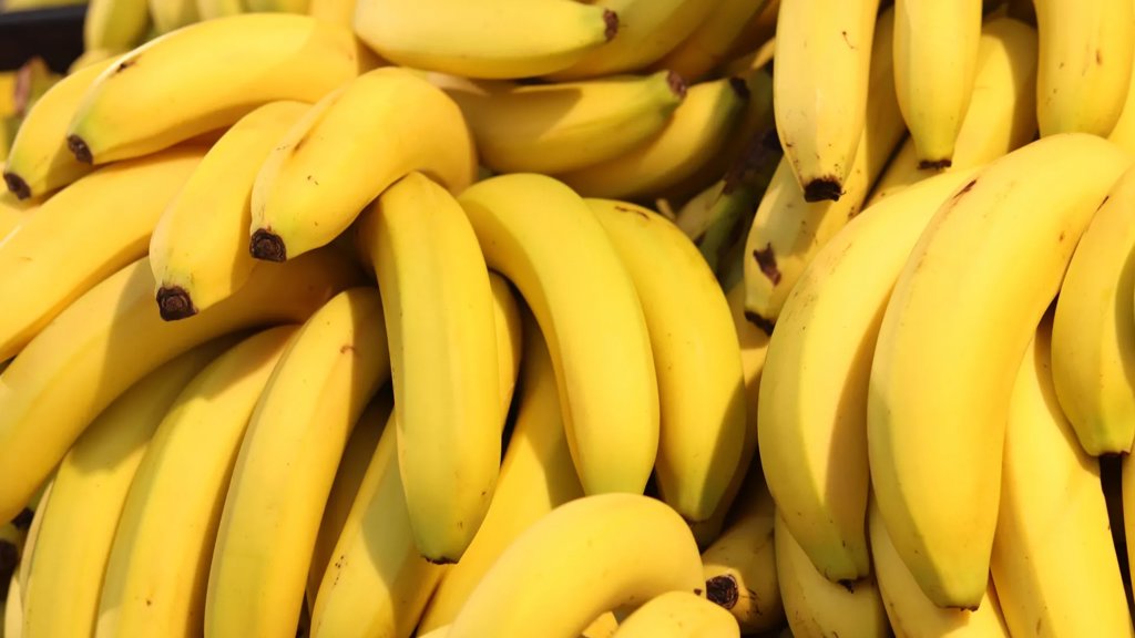 Toxic metals found in bananas after Brazil mining disaster | ScienceDaily