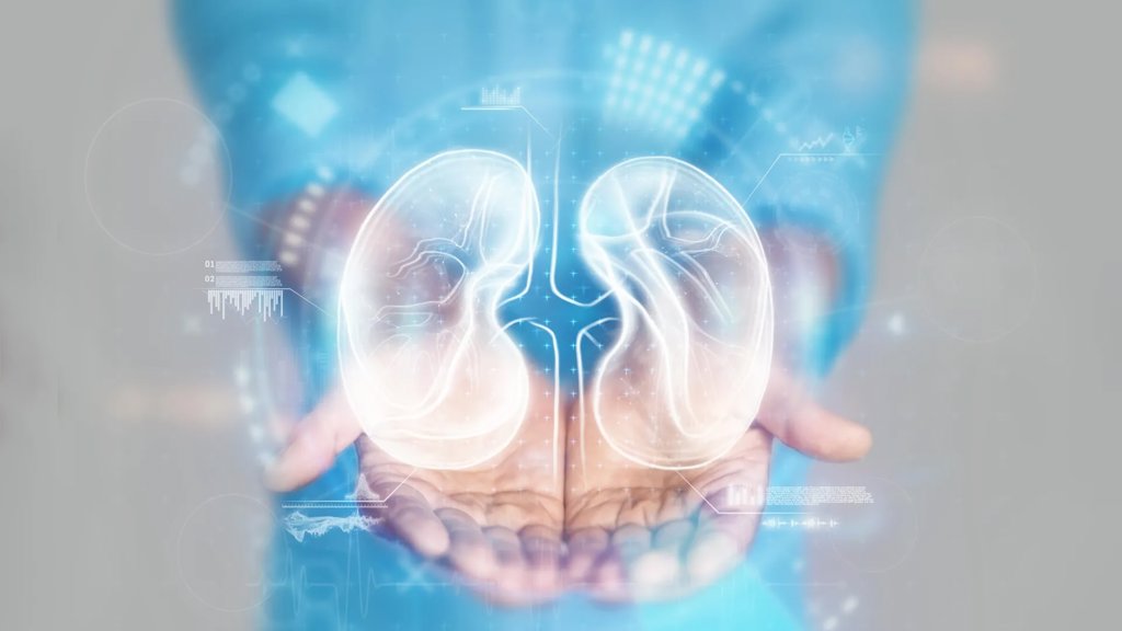 A silent kidney crisis is spreading faster than anyone expected | ScienceDaily