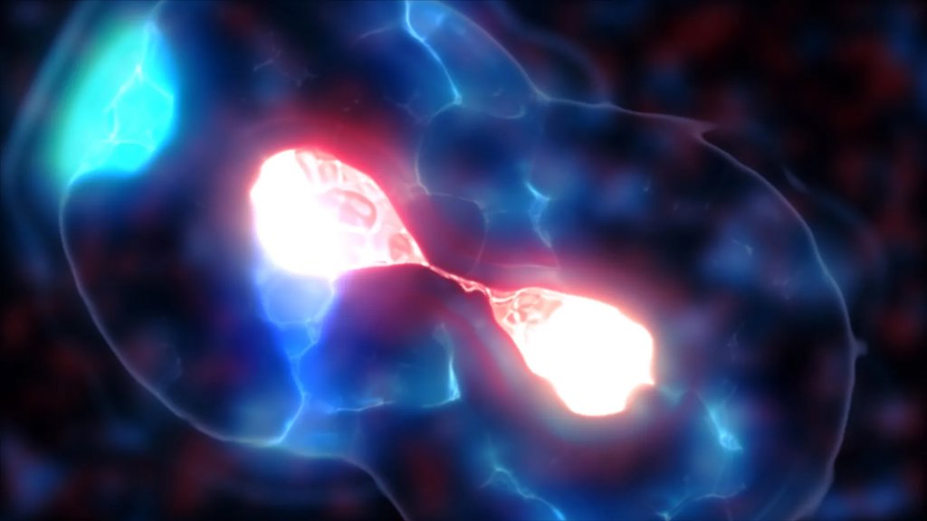 Scientists finally solve the mystery of yeast’s tiny centromeres | ScienceDaily