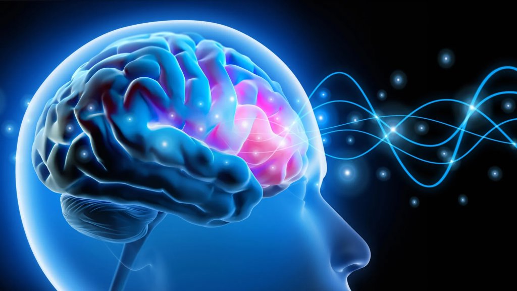 Scientists reverse anxiety by rebalancing the brain | ScienceDaily