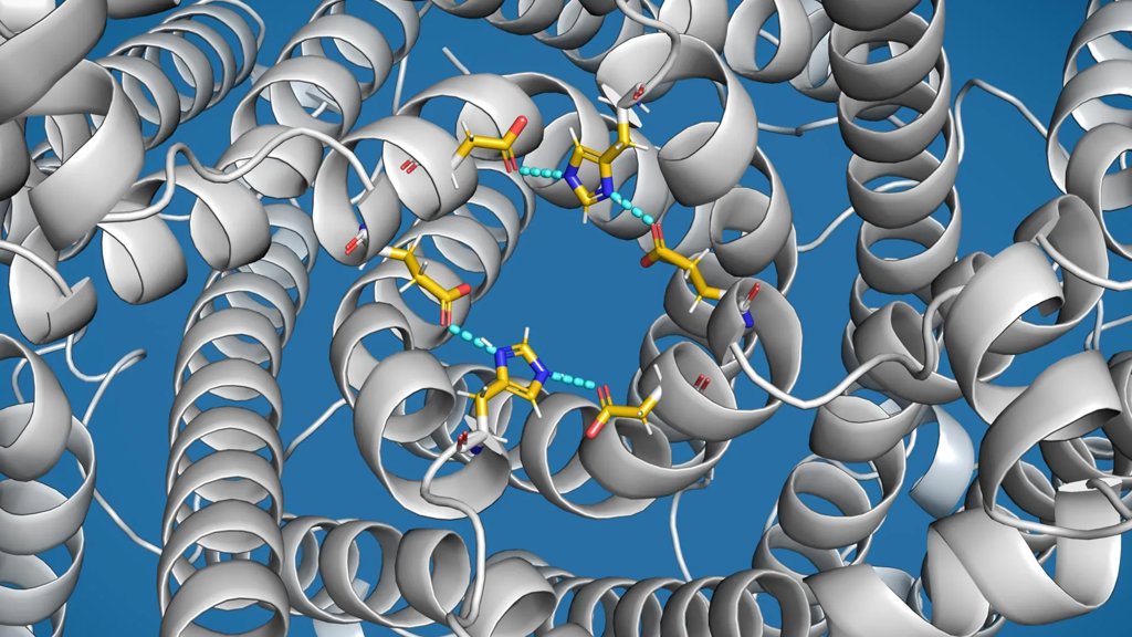 Scientists discover “overflow valve” in cells linked to Parkinson’s Disease | ScienceDaily