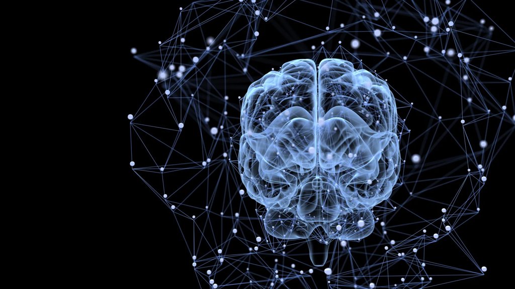 New research reveals how everyday cues secretly shape your habits | ScienceDaily