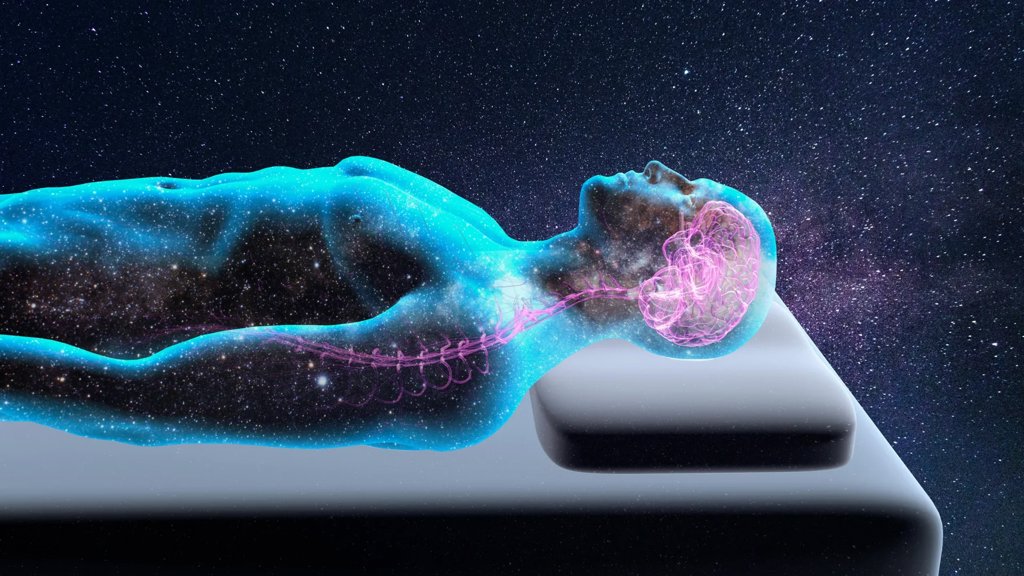 Hidden bacterial molecules in the brain reveal new secrets of sleep | ScienceDaily