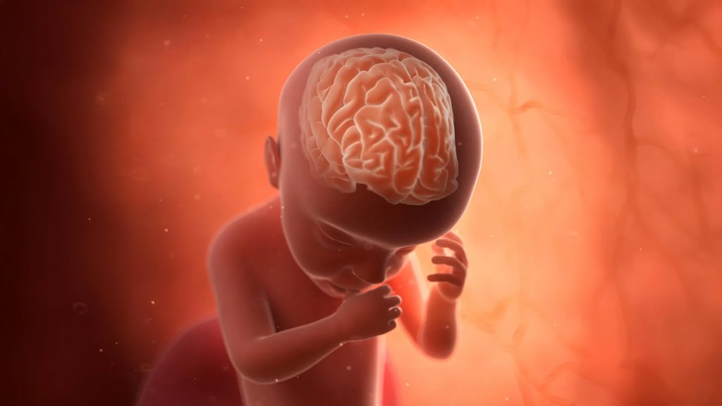 Rare pregnancy infections may triple the risk of autism | ScienceDaily