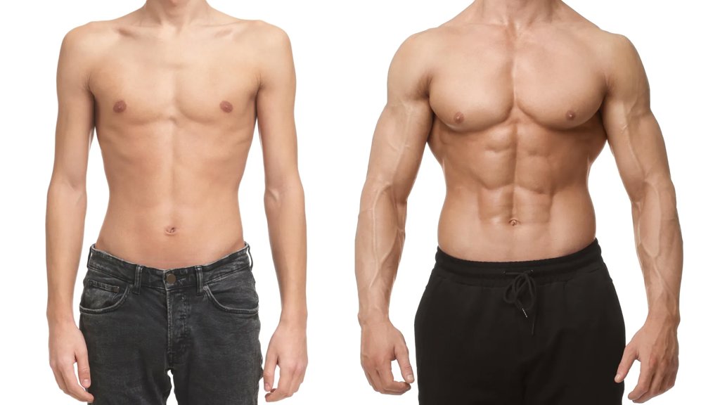 This type of meat supercharges muscle growth after workouts | ScienceDaily