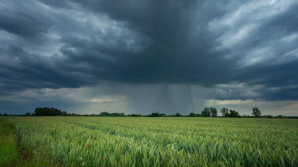 Scientists find hidden rainfall pattern that could reshape farming | ScienceDaily
