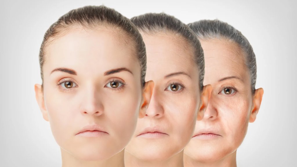 Hidden blood molecules show surprising anti-aging power | ScienceDaily