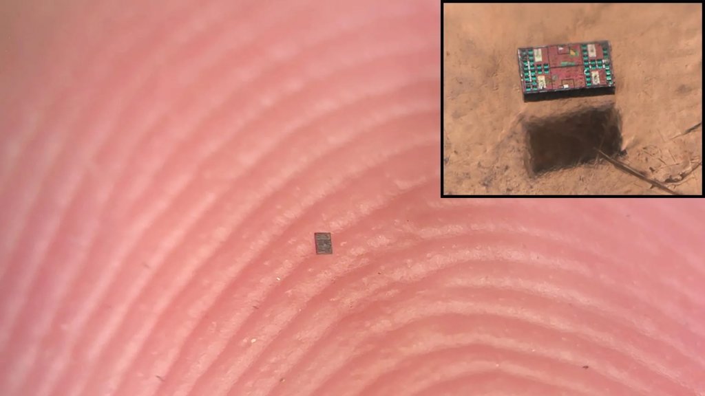 Scientists create robots smaller than a grain of salt that can think | ScienceDaily