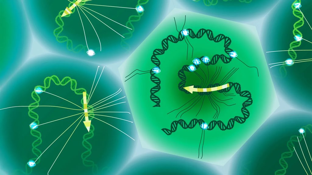 Scientists finally read the hidden DNA code that shapes disease | ScienceDaily