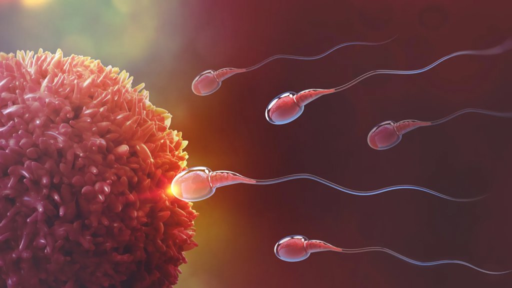 Scientists discover reversible male birth control that stops sperm production | ScienceDaily