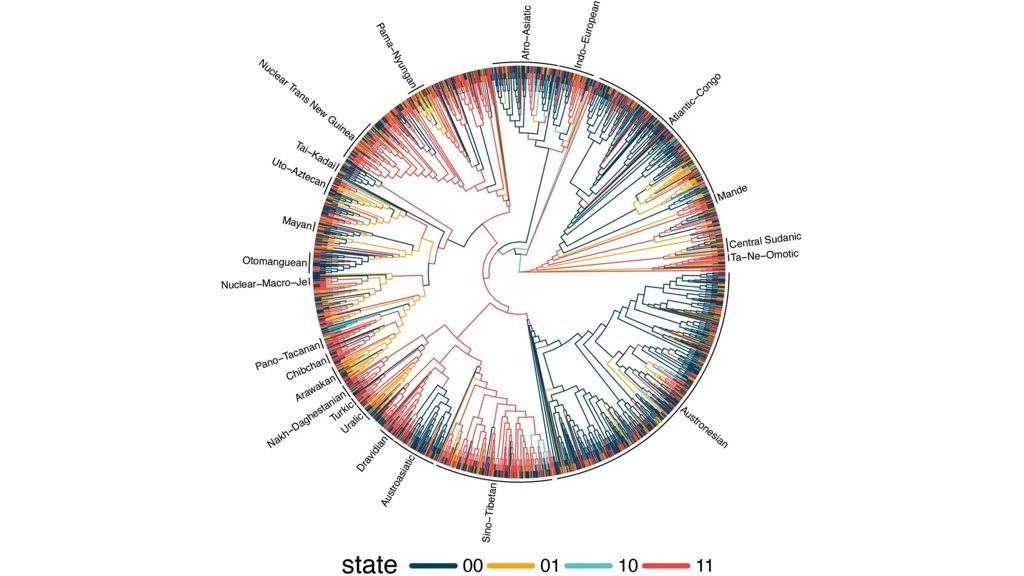 Study of 1,700 languages reveals surprising hidden patterns | ScienceDaily