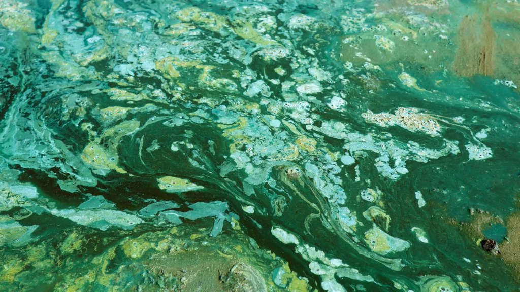 Scientists uncover what delayed Earth&rsquo;s oxygen boom for a billion years | ScienceDaily