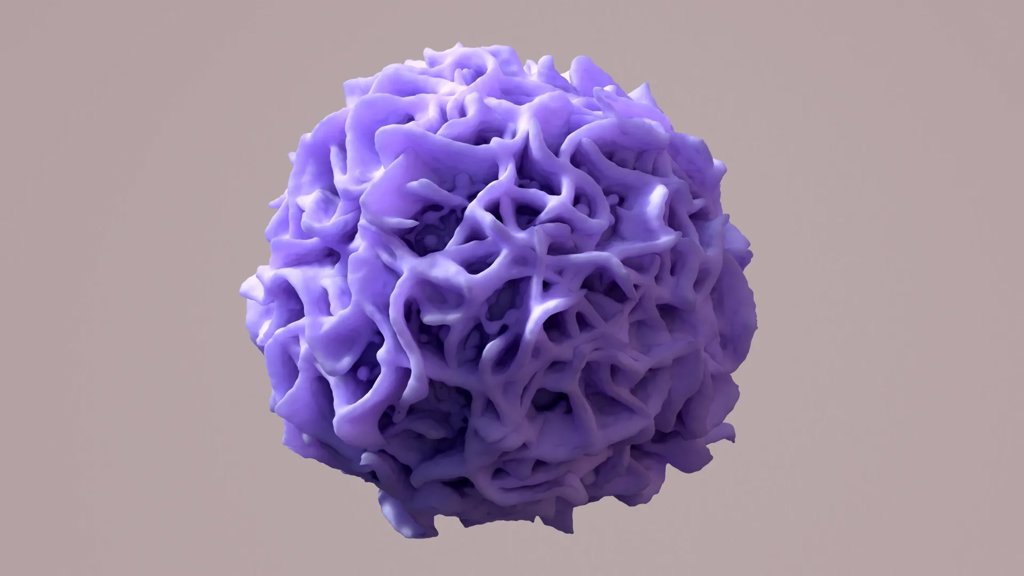 Scientists discover the genetic switch that keeps your organs healthy | ScienceDaily