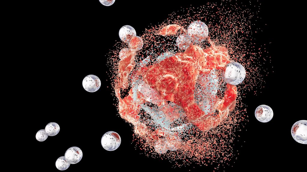 Bacteria hidden inside tumors could help beat cancer | ScienceDaily