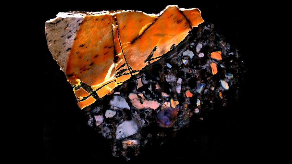 Fossilized bones are revealing secrets from a lost world | ScienceDaily