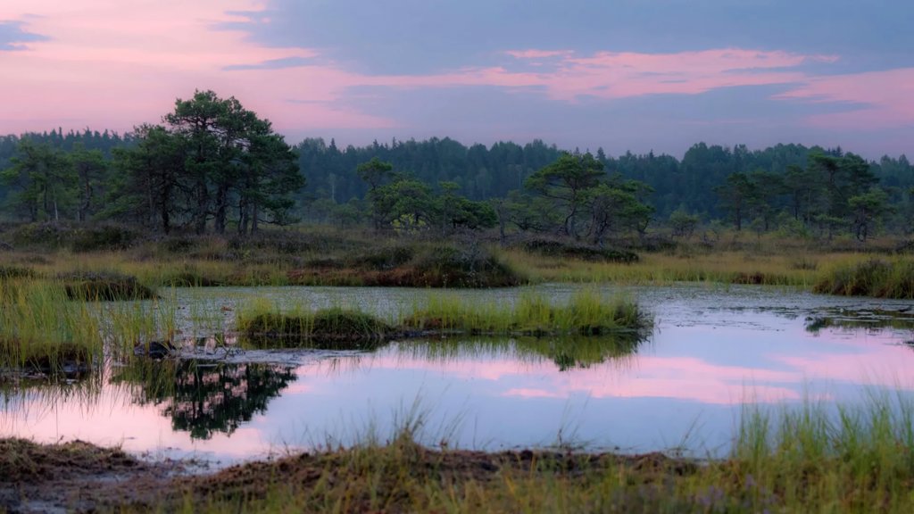 Ancient bogs reveal a hidden 15,000-year climate shift | ScienceDaily