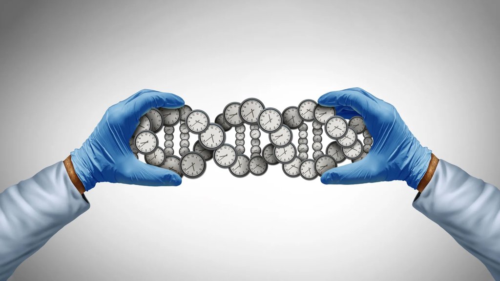 Scientists were wrong about lifespan. Your genes matter way more than we thought | ScienceDaily