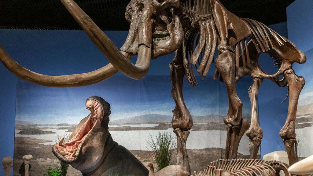 Hippos once roamed frozen Germany with mammoths | ScienceDaily