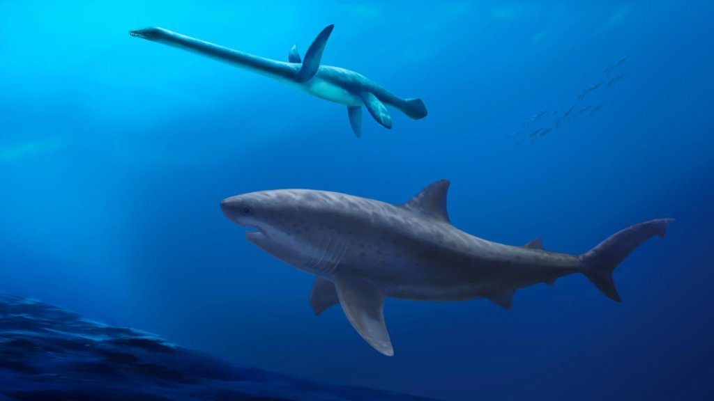Fossils reveal a massive shark that ruled Australia in dinosaur times | ScienceDaily