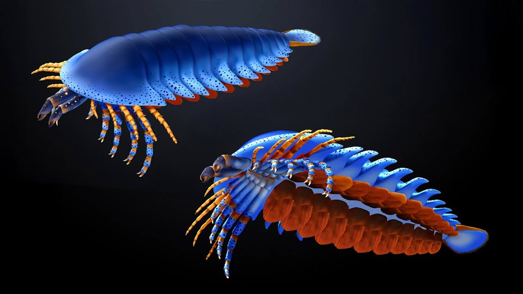 This tiny claw in a 500-million-year-old fossil just rewrote the origin of spiders | ScienceDaily