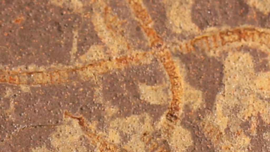 Secret chemical traces reveal life on Earth 3. 3 billion years ago | ScienceDaily