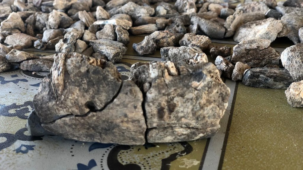 This 2.6-million-year-old jawbone changes the human story | ScienceDaily