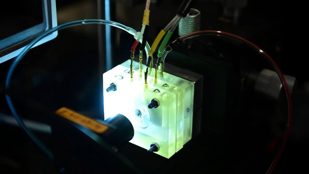 First living cochlea outside the body shows how hearing really works | ScienceDaily