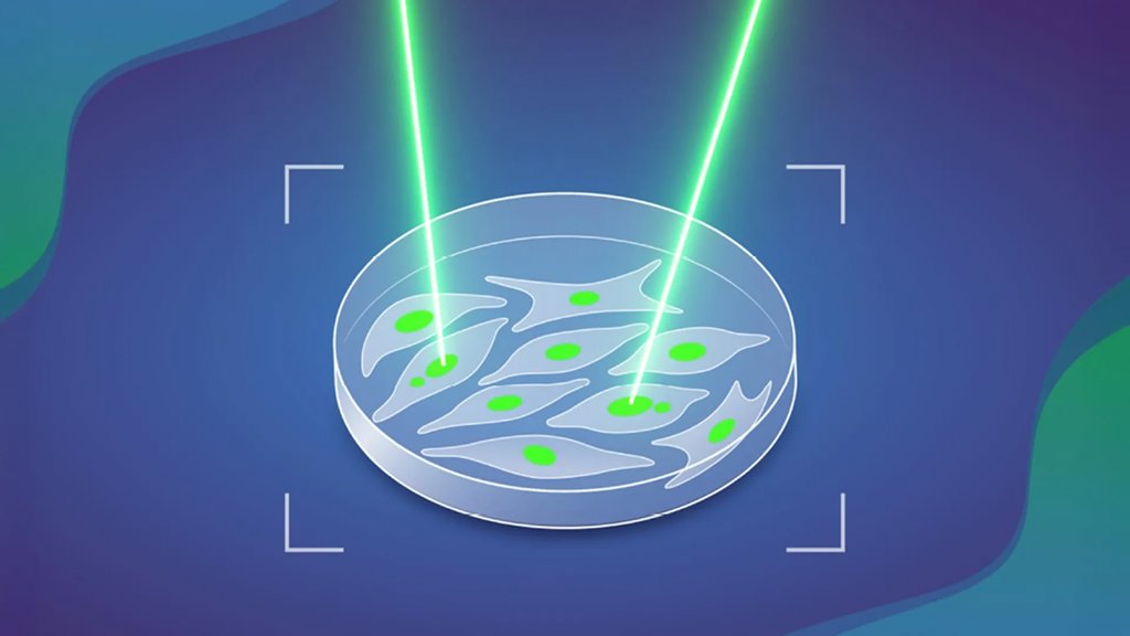 AI finally tests a century old theory about how cancer begins | ScienceDaily